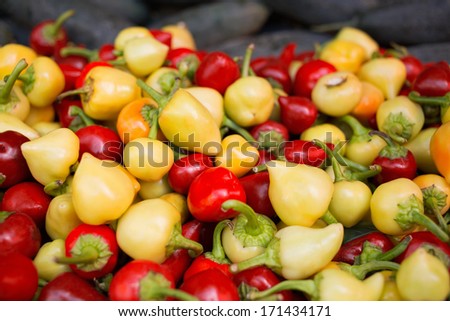 Red and white pepper on farmers market/Fresh raw vegetable selling on retail place. Bell peppers on stand.