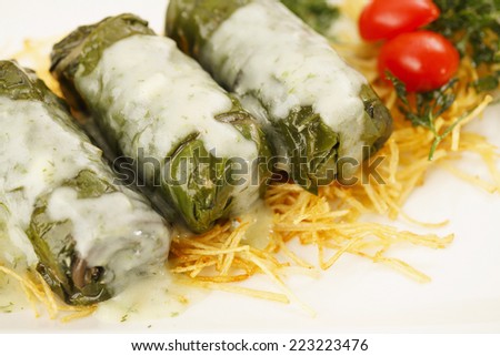 Cabbage rolls in fine dine restaurant/Elegant lunch in restaurant/Cabbage rolls in restaurant