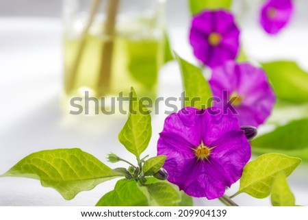 decoration with  foreground flowers in a bath