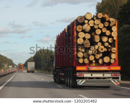 Heavy trucks transports logs on a semi-trailer on a suburban asphalt highway on a summer day against a green forest and blue sky with clouds - commercial timber import in Europe, trading