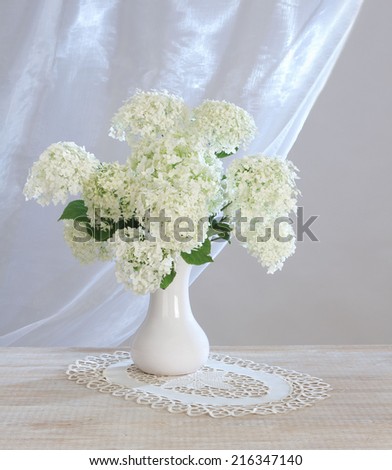 still-life with a bouquet of hydrangea in a vase on a white background curtain