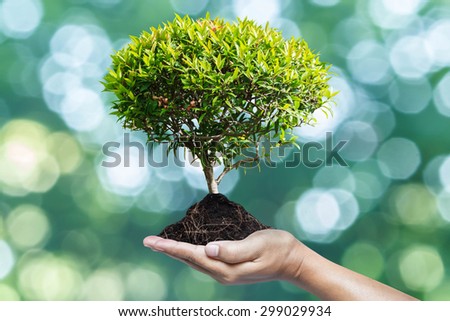Hand holding tree.