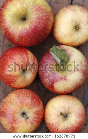 six apples top view