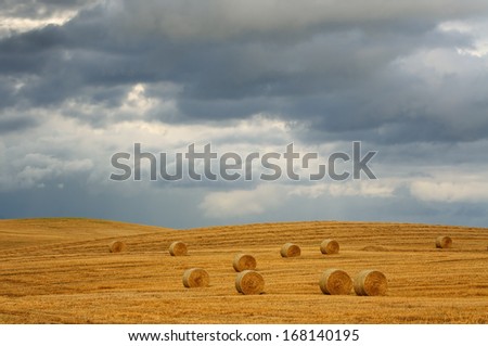 Field after harvest and dramatic sky