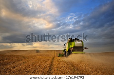 Modern Combine Harvester On A Wheat Field Harvest.