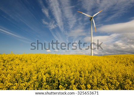 Wind power station in field with rape oil seed plants, Poland