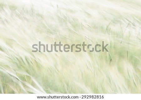 Abstract Grain Background