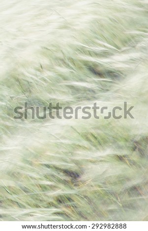 Abstract Grain Background
