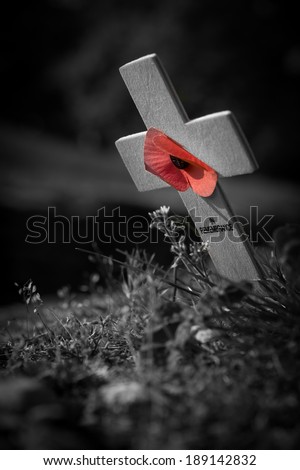 A cross and poppy mark the line of the trenches at the World War 1, the Great War, battlefield of Vimy Ridge, France