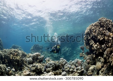 Woman diver on the reef, St John\'s Caves, Red Sea, Egypt