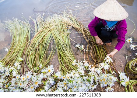 The lady is arranging the flower before she transports them to the market