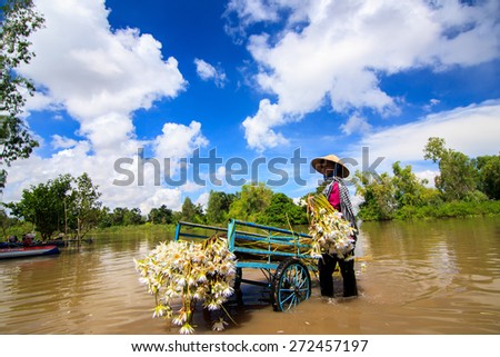 An Giang, VIETNAM - OCT 25 2014: The lady is arranging the flower before she transports them to the market