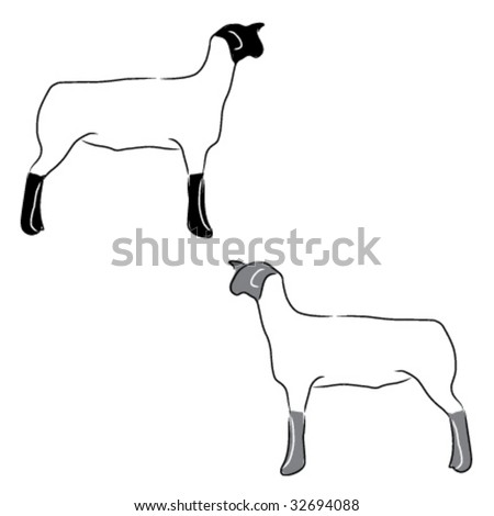 stock vector   4h or ffa sheep