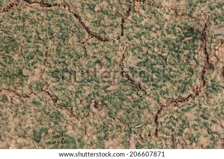 Cracked ground surface seamless pattern texture