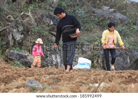 HA GIANG, VIETNAM - FEB 6, 2014: Unidentified Vietnamese minority family starting a new season of corn in the field on the valley of Dong Van rocky highland (a member of the Global Geopark Network).