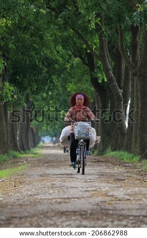 HANOI, VIETNAM - JUL 13, 2014: Unidentified Asian woman cycling on a country road through a paddy field under the sunlight ray at the beginning of a new season.