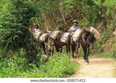 YEN BAI, VIETNAM - MAY 22, 2010: Unidentified Vietnamese men guiding horses to carry cement to their village to build new home in Mu Cang Chai district. Transportation is a serious matter here.