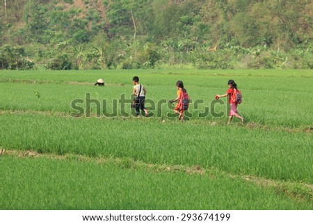 SON LA, VIETNAM - APR 10, 2014: Unidentified Vietnamese poor children running through a green paddy field on the way to their school. School boys and girls here have to go to school on feet.