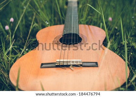 Guitar Classical and grass in the garden