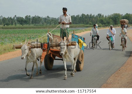 Male farmer driving ox cart in Southern India through rural landscape