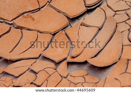 Mud cracks on the banks of the Colorado River