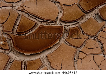 Mud cracks on the banks of the Colorado River
