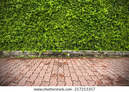 green leaf and foot wall background