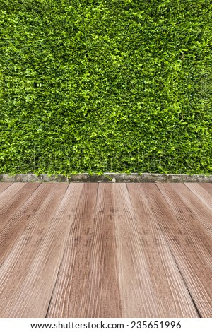 green leaf and foot wood background
