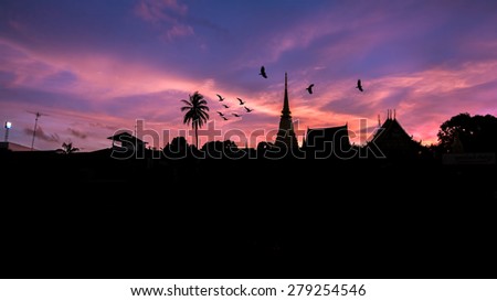Flying birds and Silhouettes Sunset on the Temple