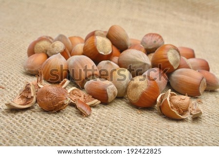 Nuts. Group of filberts on the pouch (sac, saccule)