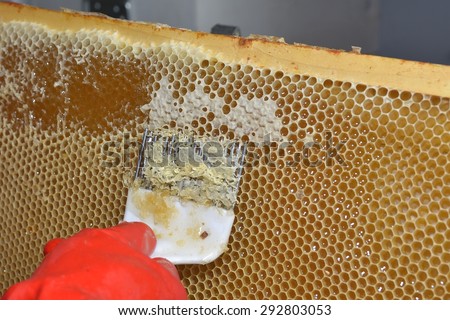 tool for opening honeycombs