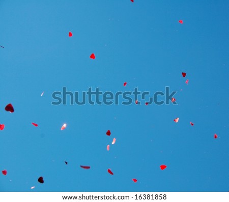 flying roses petal under the sky