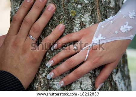 two hands of bride and groom over tree
