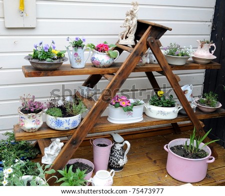 ladder with china pots and plants