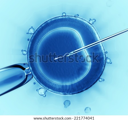 artificial insemination cell under the microscope