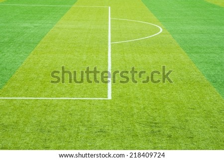 Soccer field grass,White lines,Field goal sunny
