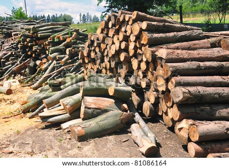 Lot of cut wood pieces, renewable energy source