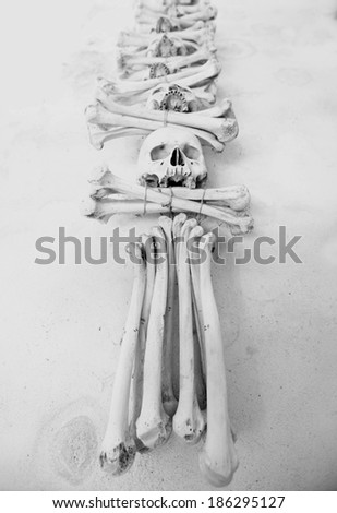 Skulls and bones in Sedlec Ossuary