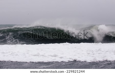 Atmospheric Black and white style photo of black sand beach in Vik and big ocean wave, Iceland
