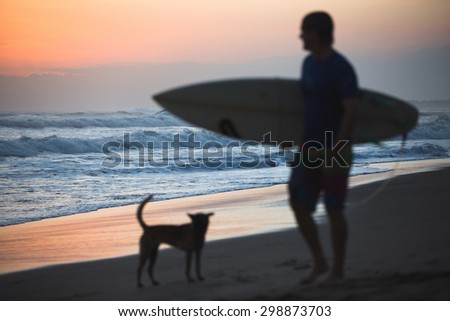 Dog and unrecognised Surfer silhouette on the beach at sunset (focus on ocean) Surfer silhouette on the beach at sunset (focus on ocean)