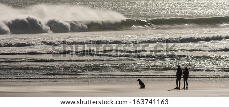 couple with dog standing on beach and watching tidal waves
