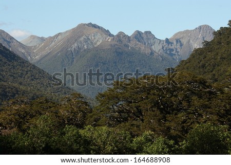 forested slopes in Fiordland National Park