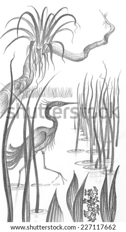 This vertical black and white pencil drawing shows a Snowy Egret stalking its prey in the heart of the everglades. Indigenous air plants, saw-grass, and water hyacinths frame the watery landscape.