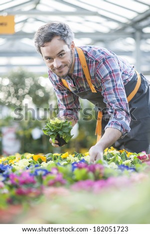 gardener sorting potted flowers in garden center