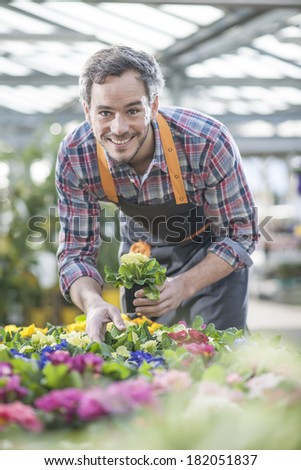 gardener sorting potted flowers in garden center