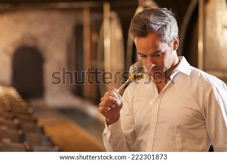 Professional winemaker smelling a glass of white wine in his traditional cellar surrounded by wooden barrels