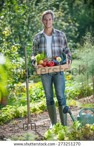looking at camera, standing in his garden, a proud gardener harvest holding a crate of vegetables he collected