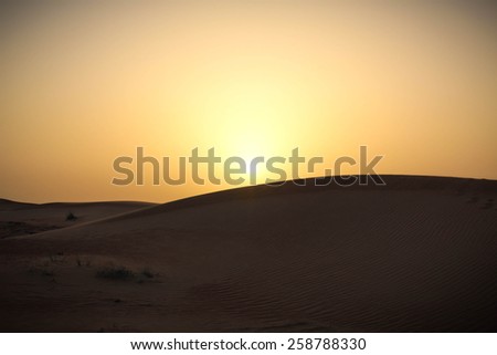 A picture of a sand dune in a desert at sunset