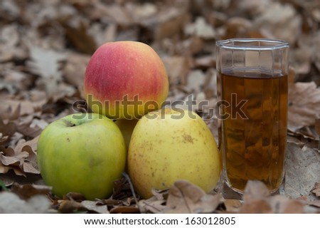Basket of Apples thermos cup