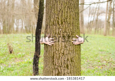 arms around a tree